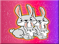 Rabbit Family Rescue From Cage
