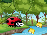 Ladybug Crosses The River - Play Free Online Escape Game