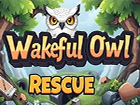 Wakeful Owl Rescue