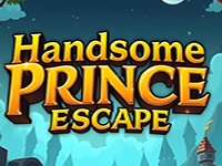 Handsome Prince Escape