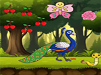 Care Of The Hurt Peacock - Play Free Online Escape Game