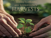 Easy Room Escape 306 - Play Free Online Escape Game