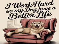 Easy Room Escape 327 - Play Free Online Escape Game