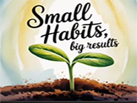 Easy Room Escape 333 - Play Free Online Escape Game