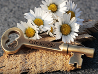 Easy Room Escape 348  - Play Free Online Escape Game