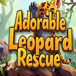 Adorable Leopard Rescue