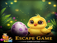 Search Bird Egg - Play Free Online Escape Game