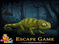 Search For Chameleon - Play Free Online Escape Game