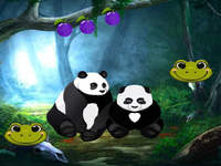 Searching Missed Panda Siblings - Play Free Online Escape Game