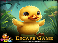 Feather Baby Duck Rescue