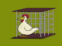 Leghorn Chicken Escape - Play Free Online Escape Game