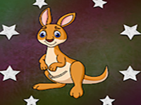 Release The Kangaroo From Cage