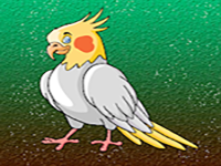 Release The Cockatiel Bird From Cage - Play Free Online Escape Game