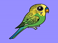 Help The Budgerigar From Cage - Play Free Online Escape Game