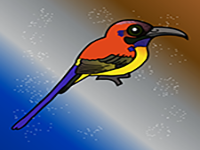 Help The Sunbird From Cage - Play Free Online Escape Game