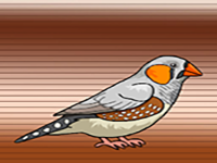 Help The Australian Zebra Finch - Play Free Online Escape Game