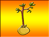 Help This Boy Plant A Tree - Play Free Online Escape Game