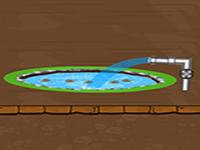 Rescue The Pond Fishes - Play Free Online Escape Game