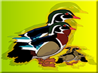 Rescue The Wood Duck Family - Play Free Online Escape Game