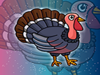 Rescue The Bronze Turkey