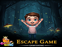 Rescue My Hidden Boy - Play Free Online Escape Game
