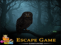 Shadowy Owl Escape - Play Free Online Escape Game