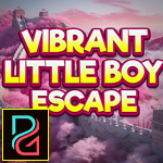 Vibrant Little Boy Escape