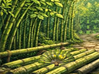 Hidden Bamboo Forest Escape - Play Free Online Escape Game