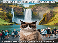 Kids Room Escape 336 - Play Free Online Escape Game