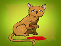 Find The Medical Adhesive Strip - Play Free Online Escape Game