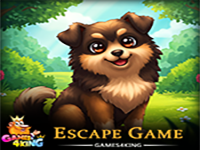 Find Cute Pet Dog Escape - Play Free Online Escape Game