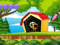 Wings Unbound - Play Free Online Escape Game