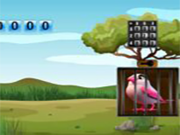 Pink Plumage Escape - Play Free Online Escape Game