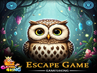 Tiny Owl Princess Escape - Play Free Online Escape Game