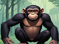 Mischievous Chimp Escape - Play Free Online Escape Game