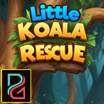 Little Koala Rescue