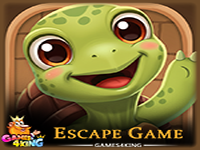 Little Tortoise Escape - Play Free Online Escape Game
