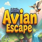 Little Avian Escape