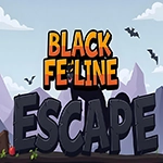 Black Feline Escape