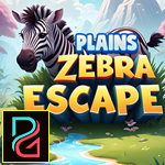 Plains Zebra Escape