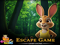Playful Bunny Girl Escape - Play Free Online Escape Game