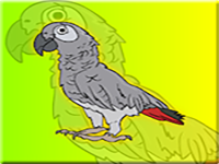 Clever Grey Parrot Escape From Cage - Play Free Online Escape Game
