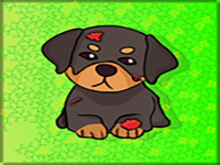Injured Small Puppy Rescue - Play Free Online Escape Game