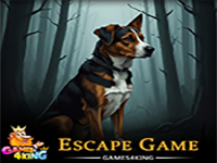 Rocky Dog Rescue - Play Free Online Escape Game