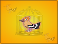 Hoopoe Bird Escape From Cage - Play Free Online Escape Game