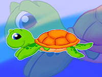 Forest Little Turtle Escape - Play Free Online Escape Game