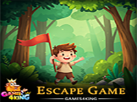Young Flag Boy Rescue - Play Free Online Escape Game