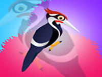 Lovely Woodpecker Bird Escape - Play Free Online Escape Game
