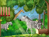 Free The Raccoon - Play Free Online Escape Game