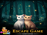 Friendly Cat Duo Escape - Play Free Online Escape Game